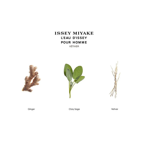 ISSEY MIYAKE L'EAU D'ISSEY VETIVER| MEN'S EDT INTENSE 100ML