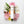 Elizabeth Arden White Tea EDT 100ml for Women
