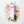 Elizabeth Arden White Tea Eau Florale EDT 100ml for Women