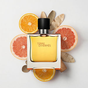 Hermès Terre d’Hermès Parfum 75ml In Bangladesh
