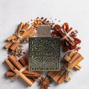 Rayhaan Terra EDP 100ML for Men| Perfume Access